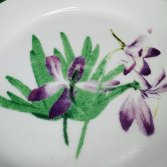 National Wildlife Federation AMERICAN WILDFLOWERS Flower Salad Plates Set of 2 - Picture 9 of 13